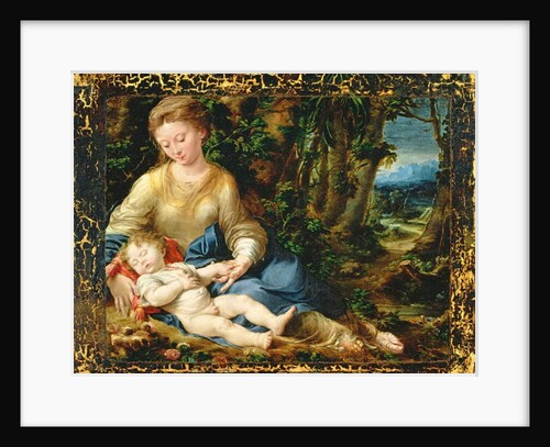 The Virgin and Child in a Landscape, c.1536-37 by Girolamo Mazzola Bedoli