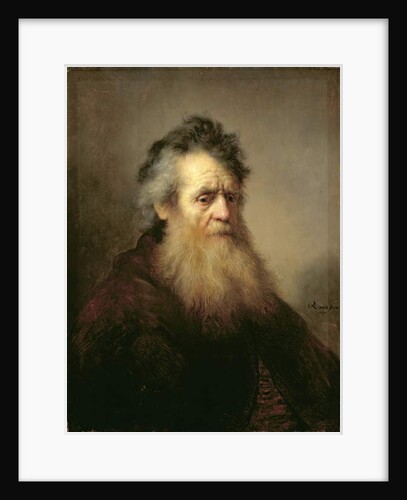 Portrait of a Old Man, 1632 by Rembrandt Harmensz. van Rijn