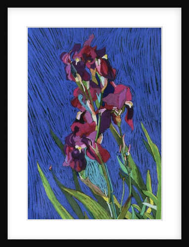 Irises by Frances Treanor
