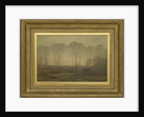 Morning, 1906 by Dwight William Tryon