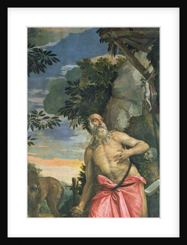 St. Jerome in Penitence by Veronese