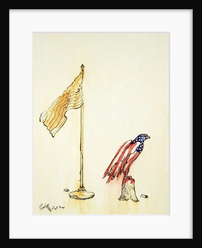 American Eagle acquires US flag colouration, 1985 by George Adamson