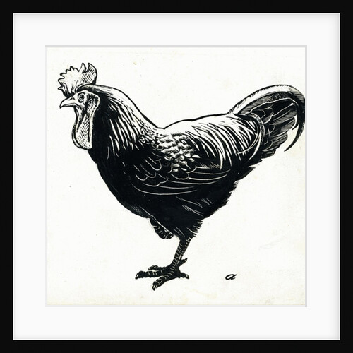 The Hen, 1950s by George Adamson