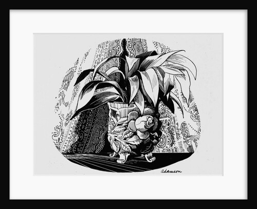 Aspidistra in a Bowl, 1950s by George Adamson