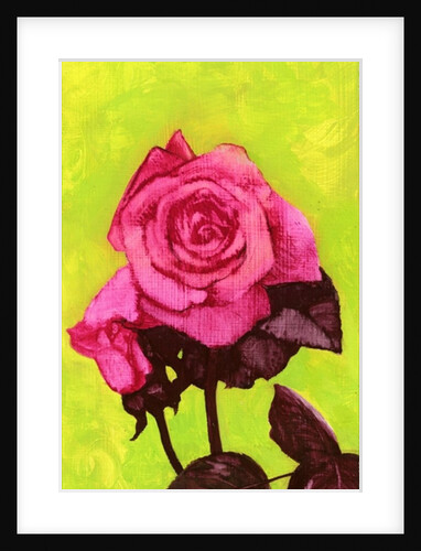 Bright Rose, 1980s by George Adamson