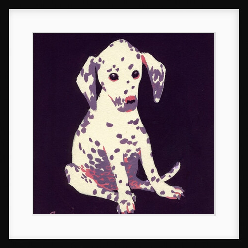 Dalmation Puppy, 1950s by George Adamson