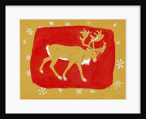 Reindeer, 1960s by George Adamson