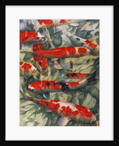 Koi Carp by Gareth Lloyd Ball
