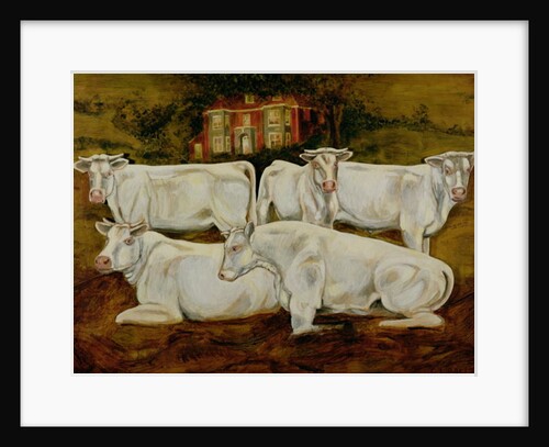 Charolais Bulls, Dippenhall, Farnham by Gareth Lloyd Ball