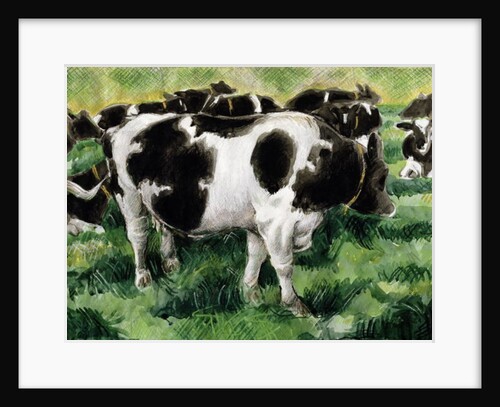 Friesian Cows by Gareth Lloyd Ball