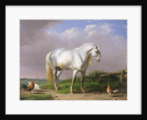 Grey Stallion by Eugene Joseph Verboeckhoven