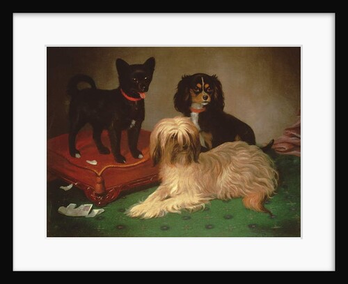Three dogs by William Elsob Marshall