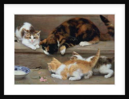 Cat and kittens chasing a mouse by Rosa Jameson