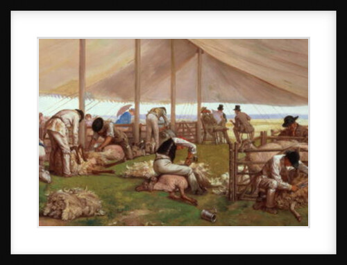 The Sheep Shearing Match, 1875 by Eyre Crowe
