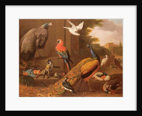 Birds in a landscape by Melchior de Hondecoeter