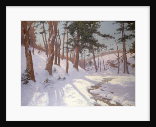 Winter woodland with a stream by James MacLaren