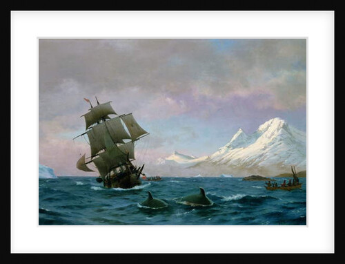 Catching whales, 1875 by J.E. Carl Rasmussen