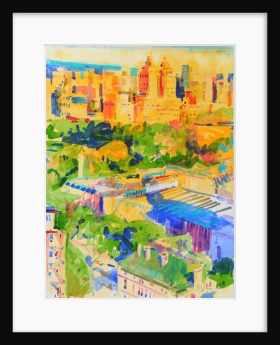 Fifth Avenue shadows over the Metropolitan by Peter Graham