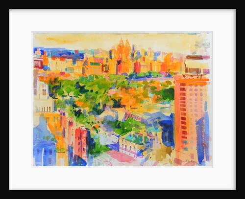 Central Park from The Carlyle by Peter Graham