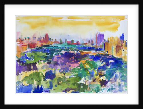 Central Park, New York, 2011 by Peter Graham