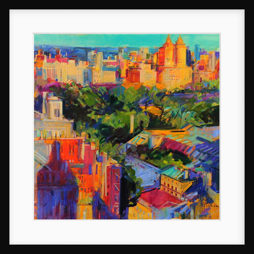 Above Central Park 2019 by Peter Graham