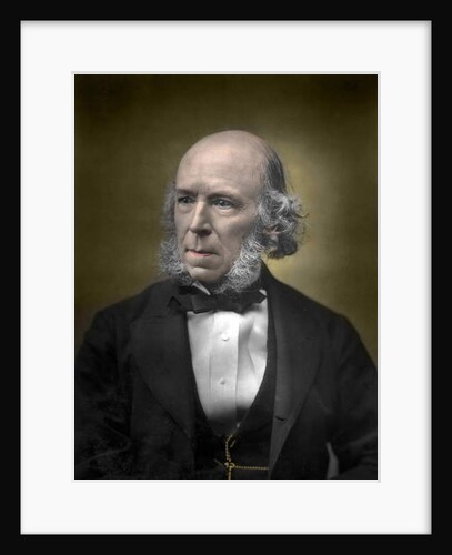Portrait of Herbert Spencer by English School
