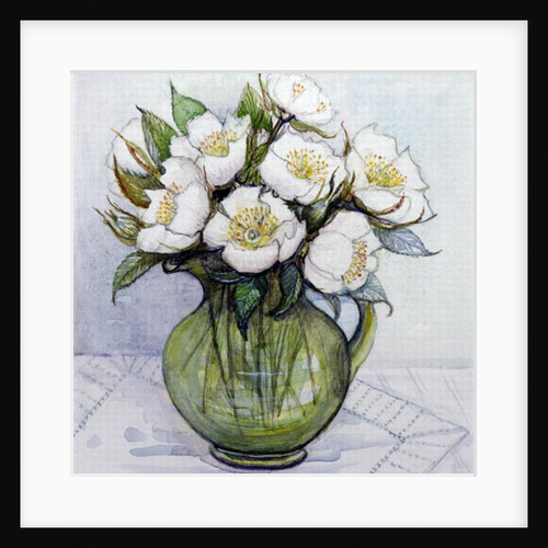 Christmas Roses, 1984 by Gillian Lawson