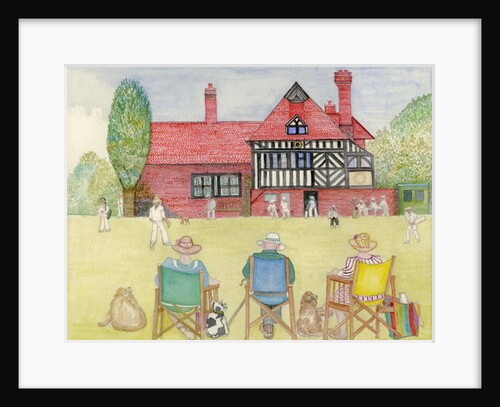 The Cricket Match by Gillian Lawson