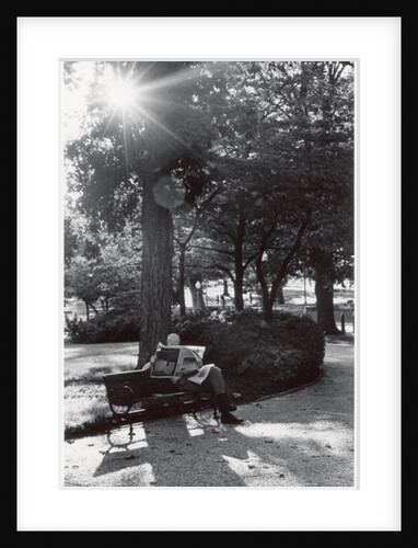 Sunny Newspaper, DC, 2006 by James Galloway