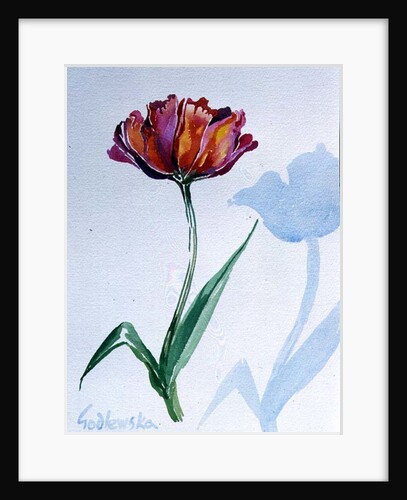 Tulip, 1998 by Izabella Godlewska de Aranda