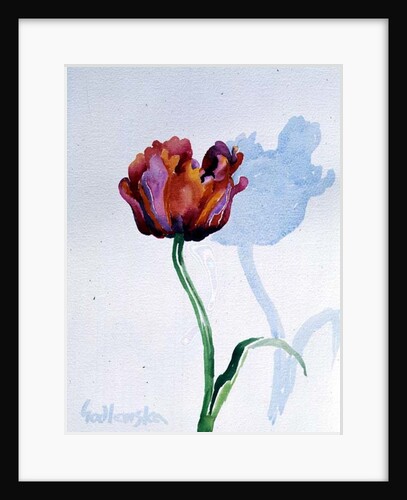 Tulip, 1998 by Izabella Godlewska de Aranda