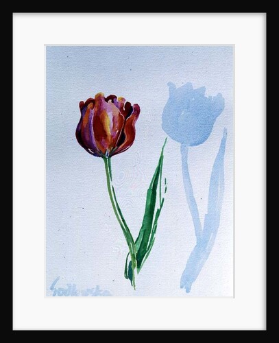 Tulip, 1998 by Izabella Godlewska de Aranda