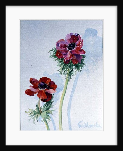 Anemone, 1998 by Izabella Godlewska de Aranda