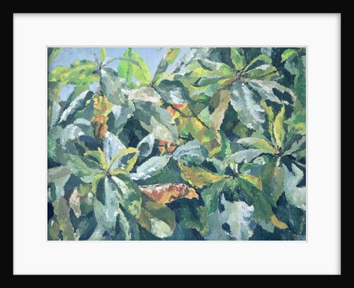 Plants, 1961 by Izabella Godlewska de Aranda