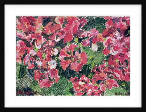 Rhododendron, 1962 by Izabella Godlewska de Aranda