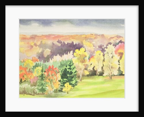 No.64 Autumn, Beaufays, Liege, Belgium by Izabella Godlewska de Aranda