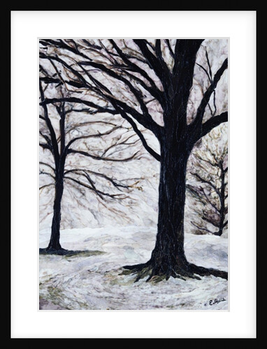 Winter Trees, Greenwich Park, 2004 by Ellen Golla