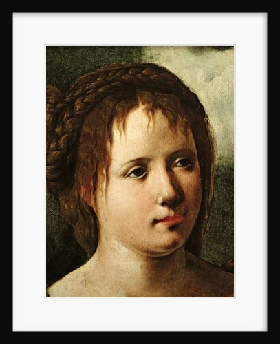 Head of a Girl, 1530/35 by Jan van Scorel