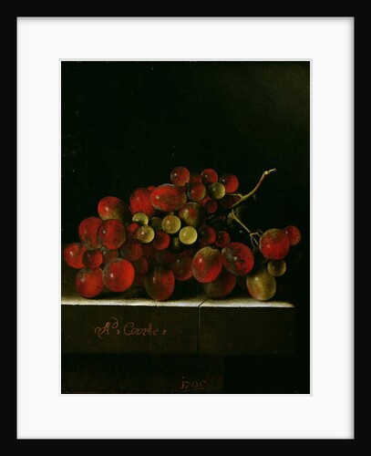 Bunch of Grapes, 1705 by Adrian Coorte
