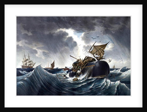 Whale Destroying Whaling Ship, c.1875 by American School
