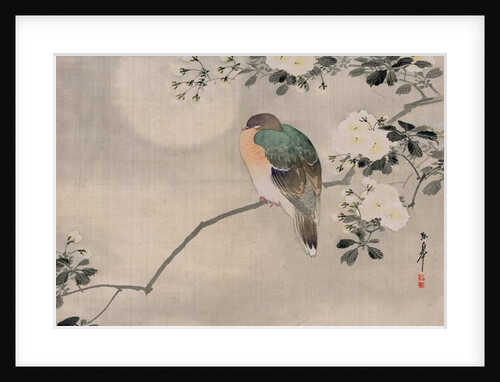 Japanese Silk Painting of a Wood Pigeon, 1800-1899 by Japanese School