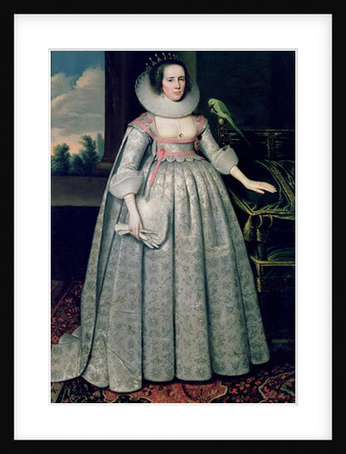 The Countess of Sussex by Paul van Somer