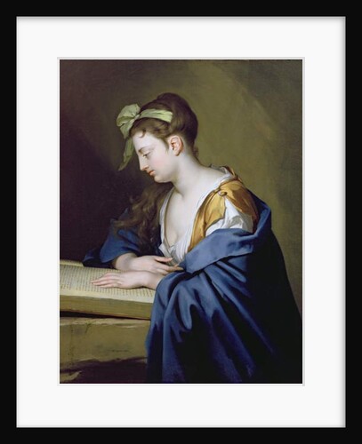 Lady Reading by Herman van der Mijn