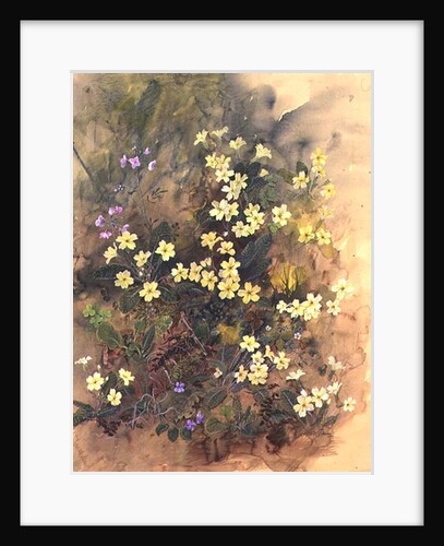 Primrose Bank by John Gubbins