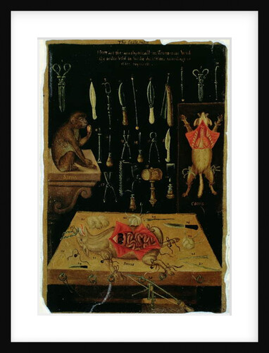 Ms Hunter 364 Table I Dissection instruments by English School