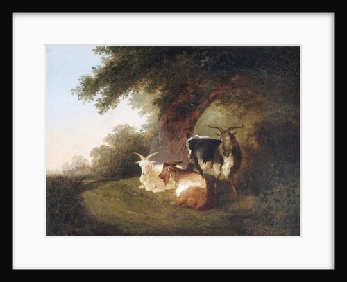 Three Goats in a Landscape, 1848 by Thomas Sidney Cooper