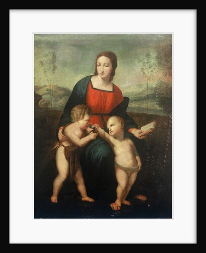 The Madonna del Cardellino by Raphael (1483-1520) (after)