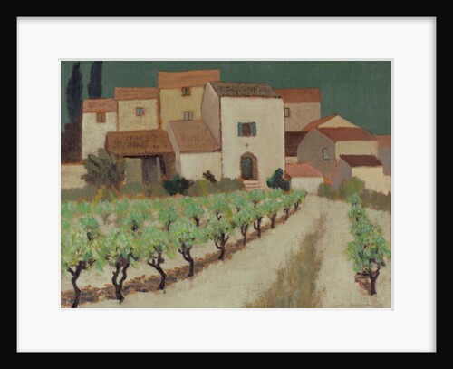 Vineyard, Provence by Eric Hains