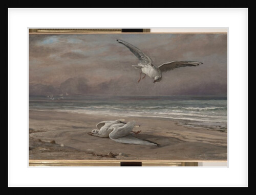 The Dying Sea Gull, 1879 by Elihu Vedder