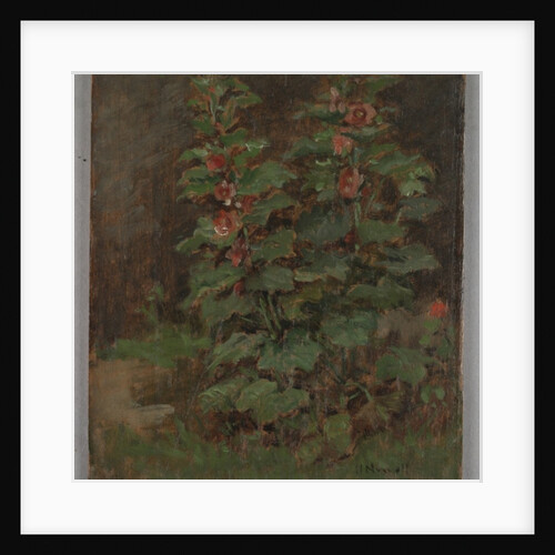 Flowers by Hugh Newell